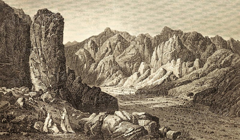 Valley near Watir, Sinai Peninsula, Egypt, valley with date palms, important foodstuff, group of Bedouins, rocky landscape, mountains, steel engraving, historical illustration 1834