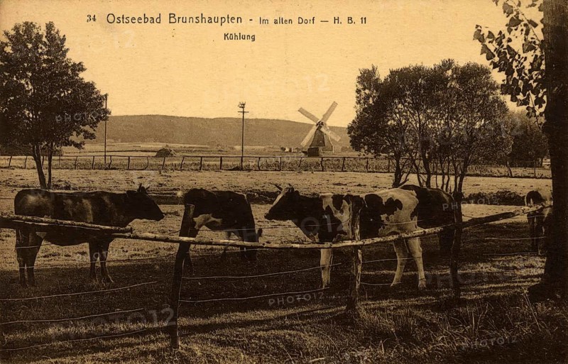 Historic postcard around 1900, Baltic resort Brunshaupten i.M., in the old village, historic town on the Mecklenburg Baltic Sea coast, which merged with Arendsee and Fulgen in 1937 to form today's Baltic Sea resort of Kühlungsborn, Mecklenburg-Western Pomerania, Germany, reproduction of a postcard, historic