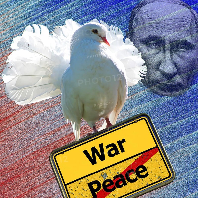 Symbolic image, dove of peace with sign War or Peace, further peace, Trump Irrified, Putin and Ukraine War, Russian drones attack Ukraine and the EU, sabotage by Russia, cybercrime, espionage, undersea cable, Baltic states, Poland, threat to Europe/world politics, billiards of world politics, Ukraine, Russia, danger situation, continued gas delivery, arms supplies, scarcity of fossil fuels, calcium winter, frost, energy supply, food for third world, supply of raw materials