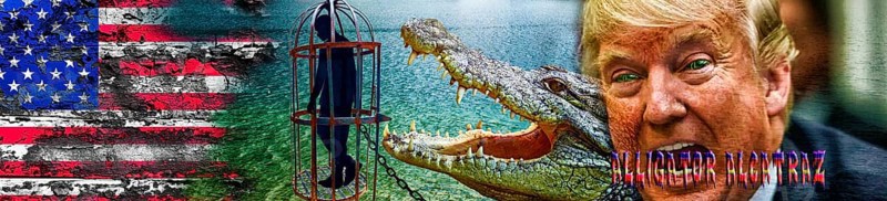 Symbolic image, Trump in deportation mania, Guantanamo, Alligator Alcatraz in Florida's Everglades, governing with decrees, no more United States, democracy versus autocracy, Donald Trump sees himself as ruler over the law, US democracy in danger, political blackmail, EU and Germany under political pressure, industry, customs threats, Elon Musk, Mark Zuckerberg, social networks, fake news, Broken rights, hate, hate speech, DSG Digital Services Act, re-election, USA, politics, announcements, revenge campaign, wanted dictator, republican, electoral system USA, global threat, lies, 2nd term, global burden, Ukrainian war, White House storm