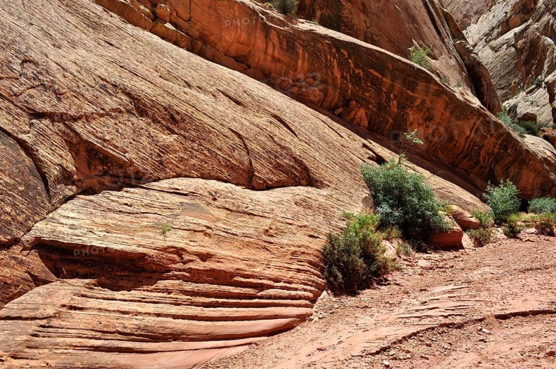 Red rock with distinctive red layers and low vegetation, Capitol Reef National Park, Utha, USA