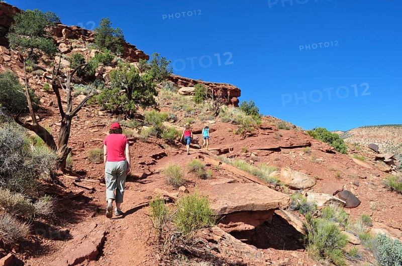 People hiking on a trail through a rocky desert landscape with red rocks, Capitol Reef National Park, Utha, USA