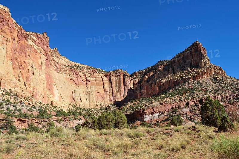 Steeply sloping rocky landscape with sparse vegetation under bright blue sky, Capitol Reef National Park, Utha, USA