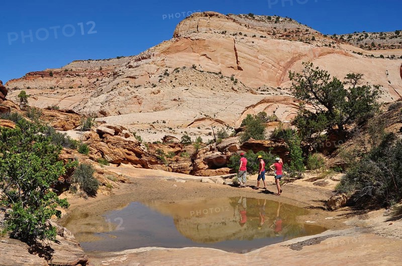 Three hikers explore rocky landscape with small water basin in bright skies, Capitol Reef National Park, Utha, USA