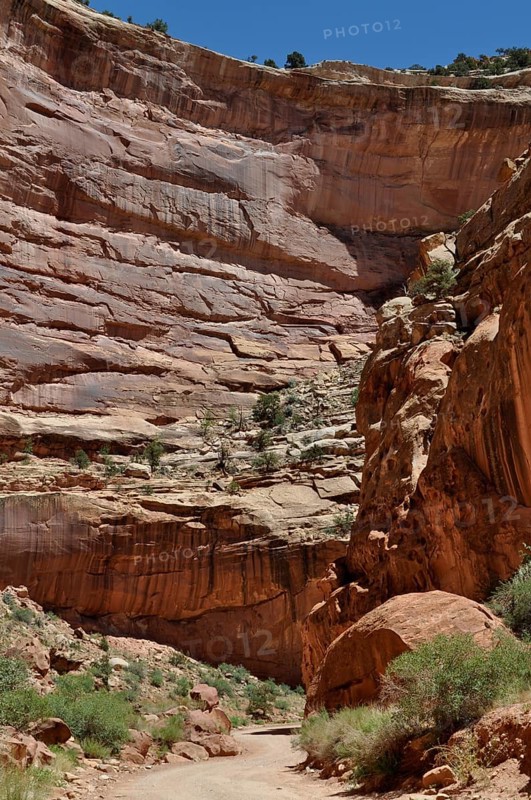 Gravel road through an imposing canyon with overwhelming red rock walls and deep shade, Capitol Reef National Park, Utha, USA