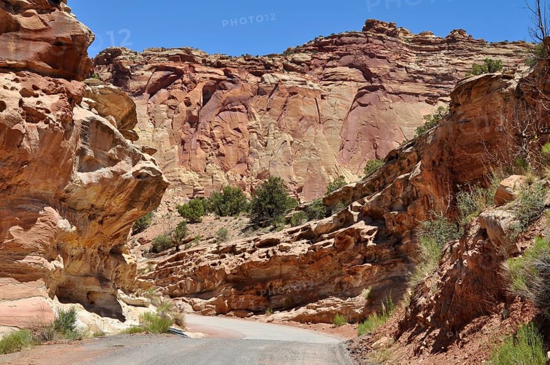 Narrow road through a canyon with impressive red cliffs and clear skies, Capitol Reef National Park, Utha, USA