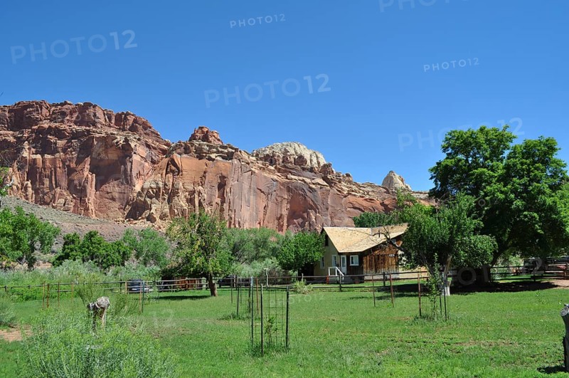 Small wooden house in front of reddish brown rocks, surrounded by green trees and grass, Fruita, Capitol Reef National Park, Utha, USA