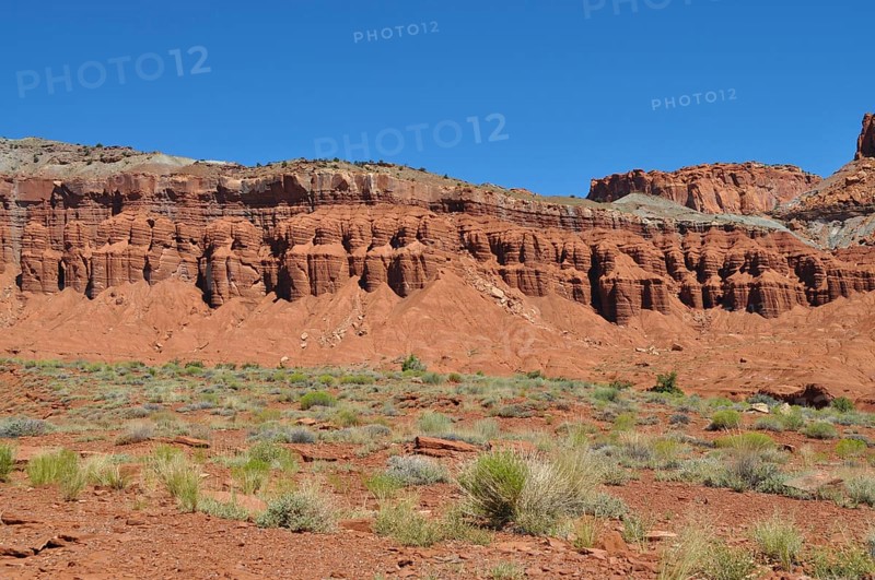 Red rock formation with low desert vegetation, Capitol Reef National Park, Utha, USA