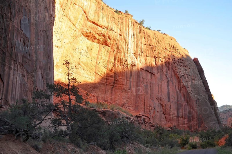Majestic rock wall illuminated by sunlight, trees in foreground, warm atmosphere, Capitol Reef National Park, Utha, USA