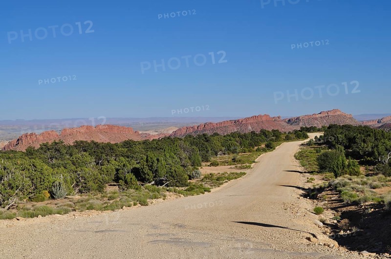 Gravel road through a dry desert landscape with red rocks and trees, Capitol Reef National Park, Utha, USA