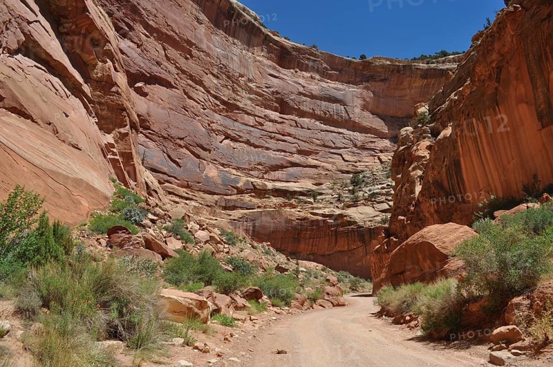 Gravel road through a wide canyon with red rocks and sparse vegetation, Capitol Reef National Park, Utha, USA