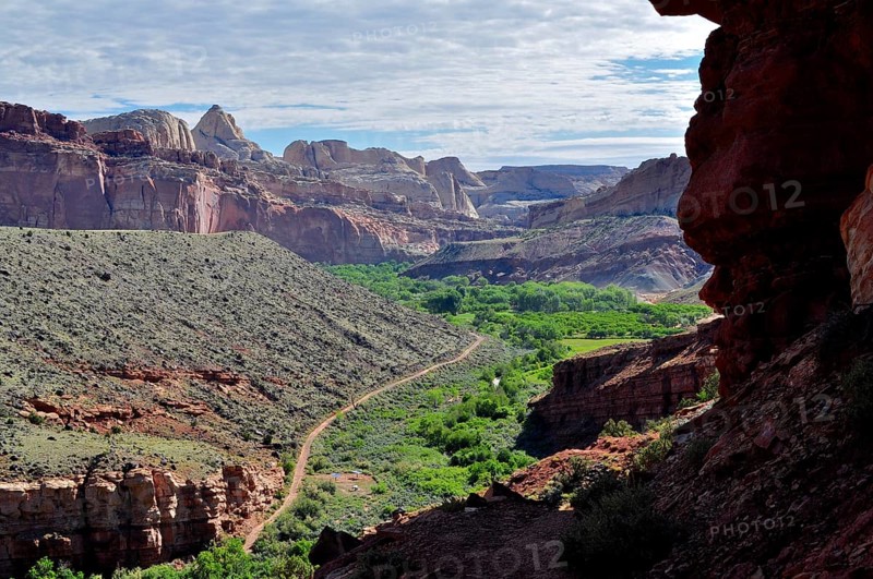 View of a green canyon surrounded by impressive rock structures and desert flora, Capitol Reef National Park, Utha, USA