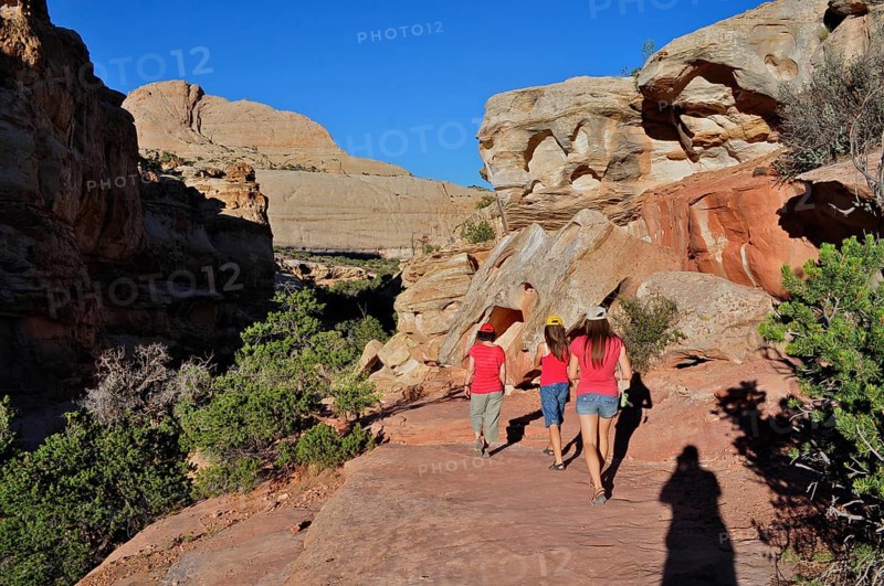 Hikers in summer desert landscape surrounded by red rocks and scattered vegetation, Capitol Reef National Park, Utha, USA