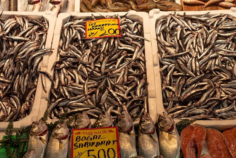 Fresh Turkish Hamsi on display in a Istanbul fish market, Hamsi is a type of anchovy caught in the Black Sea and a popular dish in Turkish cuisine