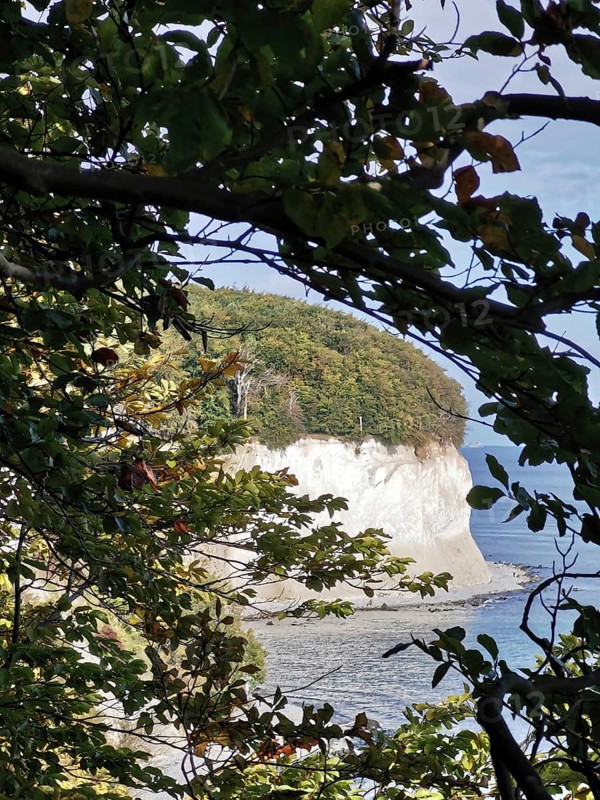 View through trees of a white cliff by the sea, Jasmund National Park, Rügen, Baltic Sea