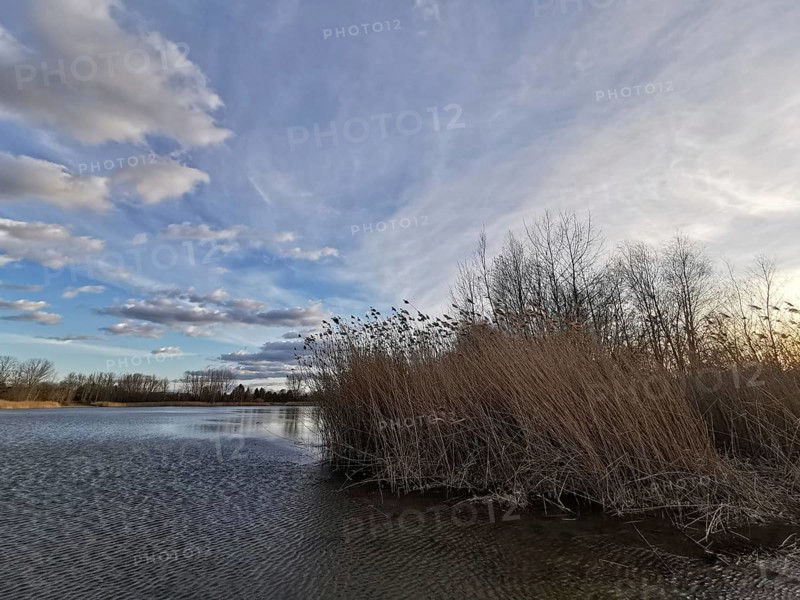 Wintery lake with barren trees and clouds in the sky, Berlin