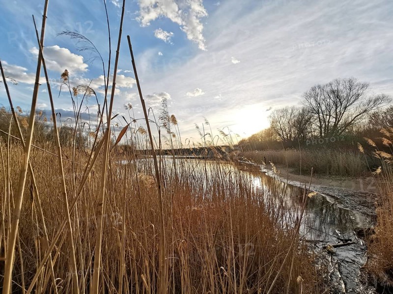 Idyllic lake with reeds, sunset and cloudy sky, Berlin