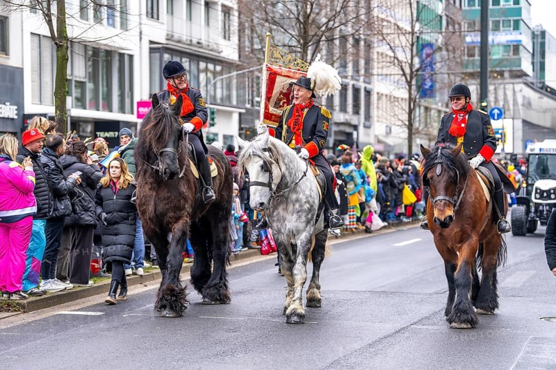 Rose Monday procession in Düsseldorf, group of horses at the street carnival, sometimes heavy rain, North Rhine-Westphalia, Germany