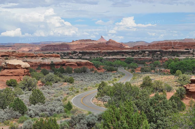 Winding road snakes through a landscape of red rocks and green vegetation under blue skies, Canyonlands National Park, Utah, USA