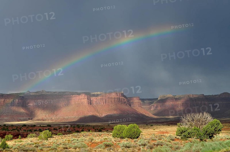 Bright rainbow stretches across a dramatic desert landscape with rocks and threatening sky, Canyonlands National Park, Utah, USA
