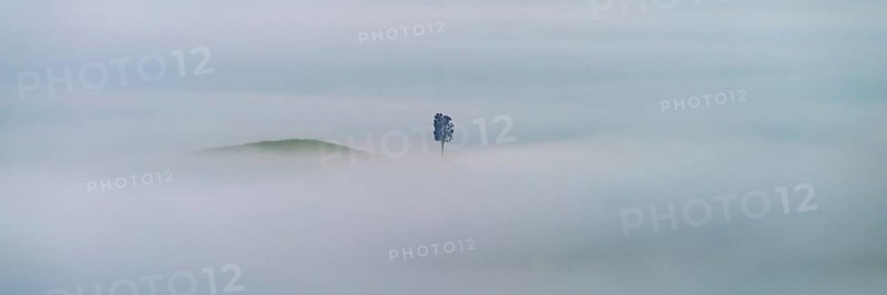 Landscape at sunrise around Volterra, Pisa province, Tuscany, Italy