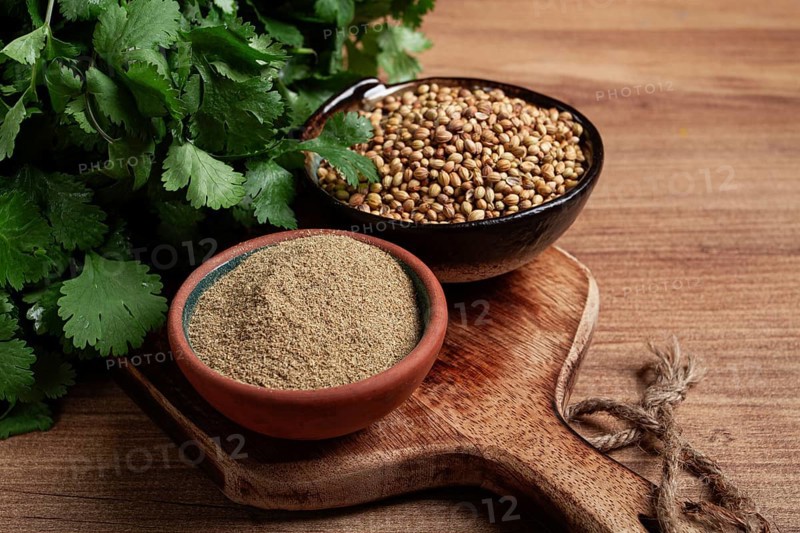 A bunch of fresh cilantro, coriander seeds and powder bowls, close-up, top view, no people, food and drinks
