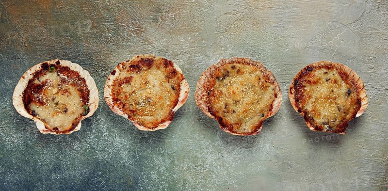 Scallop shells, stuffed, baked with cheese, in the oven, julienne with scallops