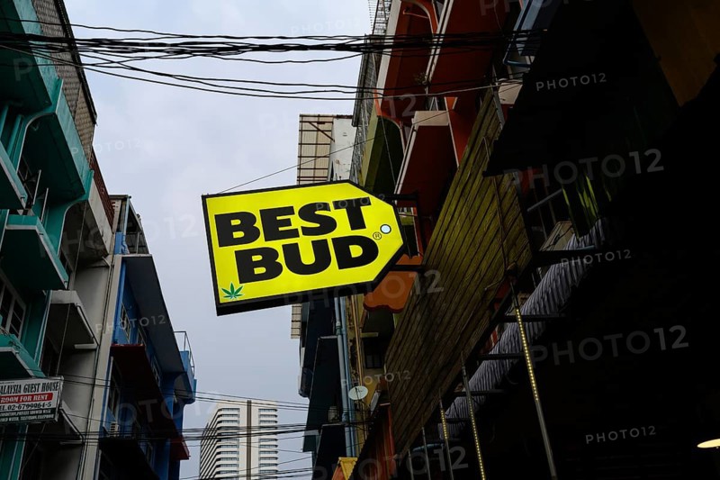 Best Bud sign for Legal cannabis and marijuana products store selling Thai weed and CBD and medicinal drugs, Bangkok, Thailand, Asia, In Thailand, cannabis, known by the name Ganja, is currently decriminalized. However, cannabis extracts and products are officially limited to 0.2% THC content. Purchase is permitted only from licensed dispensaries. While recreational use is allowed, public consumption remains prohibited. Neon weed signs have become ubiquitous in Bangkok's busy tourist areas, with dispensaries cropping up on every corner. Yet there are rumours a more conservative government could reverse the legal ruling