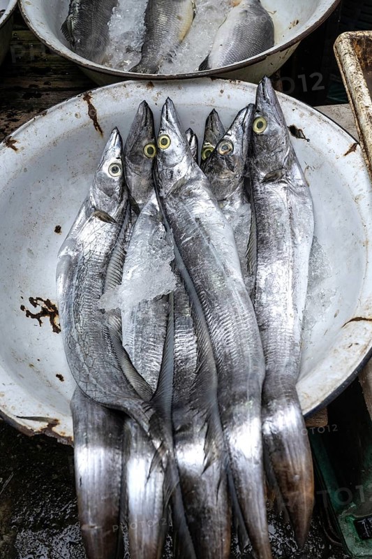 Fresh Ribbonfish, also known as Hairtail or Cutlassfish or Pla Dap Ngern in Thai which translates as Silver Sword Fish. A popular fish found in street food markets in Thailand