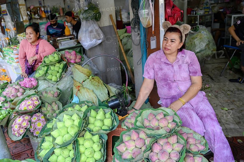 Bangkok, Thailand. March 2rd 2025. Bunches of lotus flowers for sale at Pak Khlong Talat-Bangkok Flower Market, The lotus flower is a part of Buddhist culture and is often given as an offering to Buddhist temples
