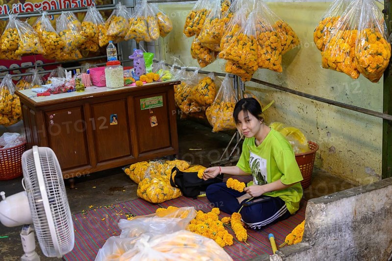 A Thai woman making traditional flower garlands at Pak Khlong Talat, a Bangkok flower market, Pak Khlong Talat-Bangkok Flower Market is one of the oldest and largest wholesale flower markets in Bangkok. Phuang Malai is the ancient art of threading tiny flower buds to serve as a religious offering. Phuang Malai garlands are created by skilled Thai artisans and sold in flower markets or near Buddhist Temples