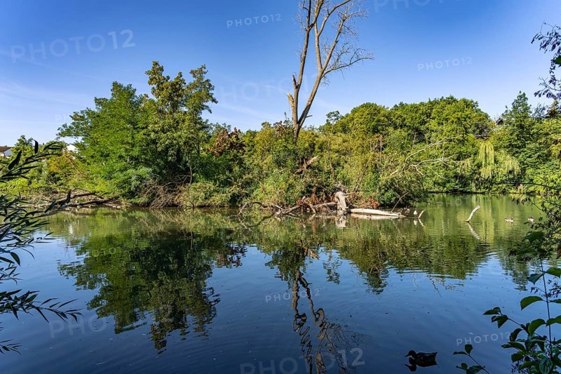 Regnitz Altwasser in Forchheim, Upper Franconia, Bavaria, Germany