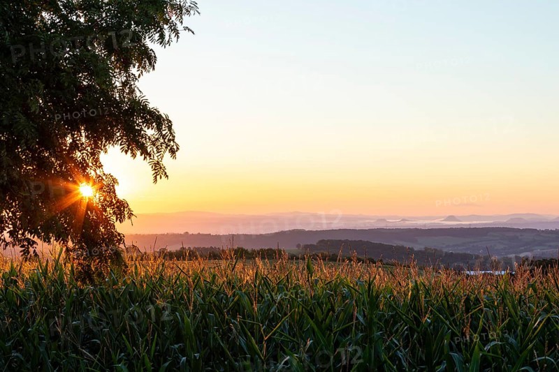 Colour-intensive sunrise towards Saxon Switzerland seen from round, Bannewitz, Saxony, Germany