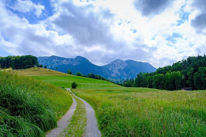 Hiking trail near Gschwendt an der Kesselalm near Inzell, Chiemgau, Upper Bavaria, Bavaria, Germany