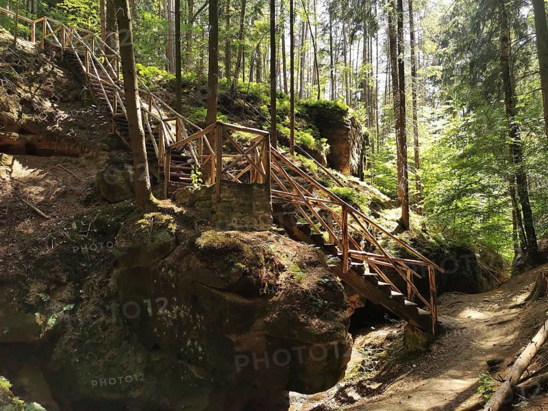 Wooden stairs lead through a forest surrounded by rocks, shadows and light play give an adventurous atmosphere, hiking in the Franconian Forest nature park Park