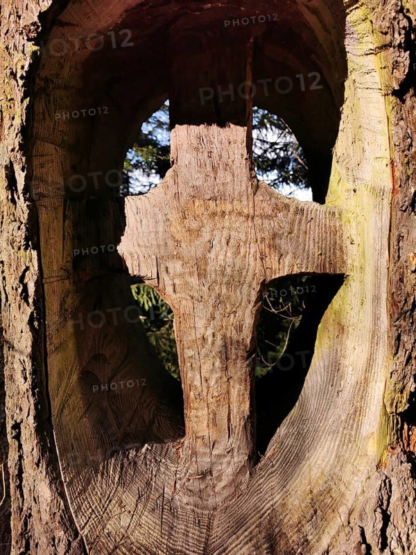 Wooden cross carved into a tree trunk steeped in sunlight, hiking in the Frankenwald nature park Park, Upper Franconia