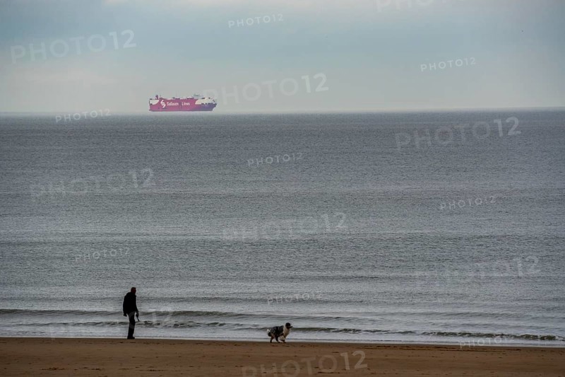 Winter break, on the Zeedijk-Knokke, beach promenade in Knokke-Heist, beach walkers with dogs, cargo ship on the North Sea, dreary winter day, Belgium