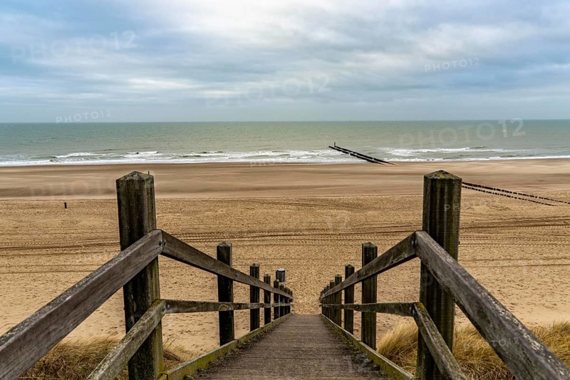 Coastal protection, through wooden posts, paalhoofden, on the beach, breakwater, the piles, some of which are rammed into the sandy soil in double rows, slow down the waves and ocean currents and thus slow down the flow rate of seawater, so less sand is washed away from the stand, near Domburg, Walcheren peninsula in the Dutch province of Zeeland