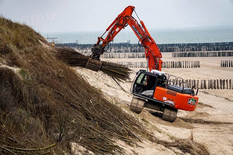Coastal protection, work on strengthening the dunes with brushwood fences, which are attached to the sand dunes with wooden posts, erosion caused by wind and water is thus slowed down, sand collects on the fine branches and thus strengthens the dune, near Westkapelle, Walcheren Peninsula in the Dutch province of Zeeland