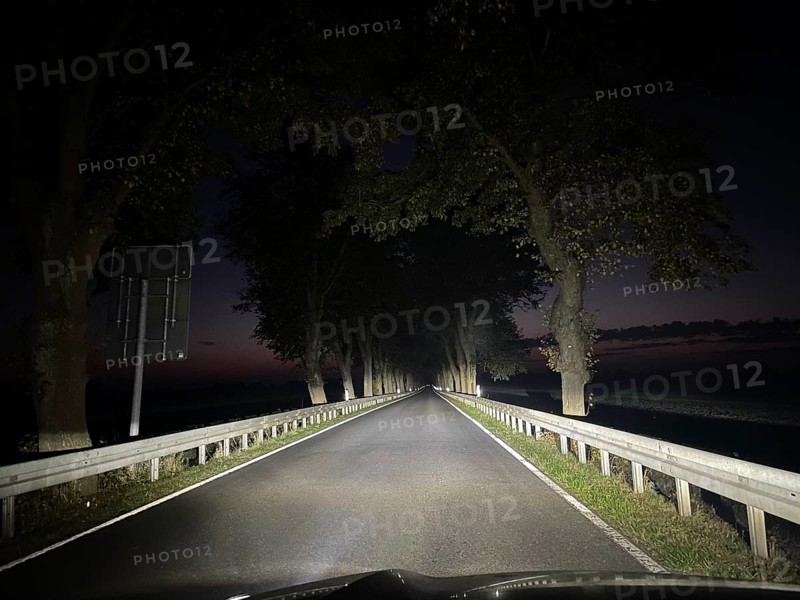 At night on an alley in Fischland-Darß-Zingst, Mecklenburg-Western Pomerania, Germany