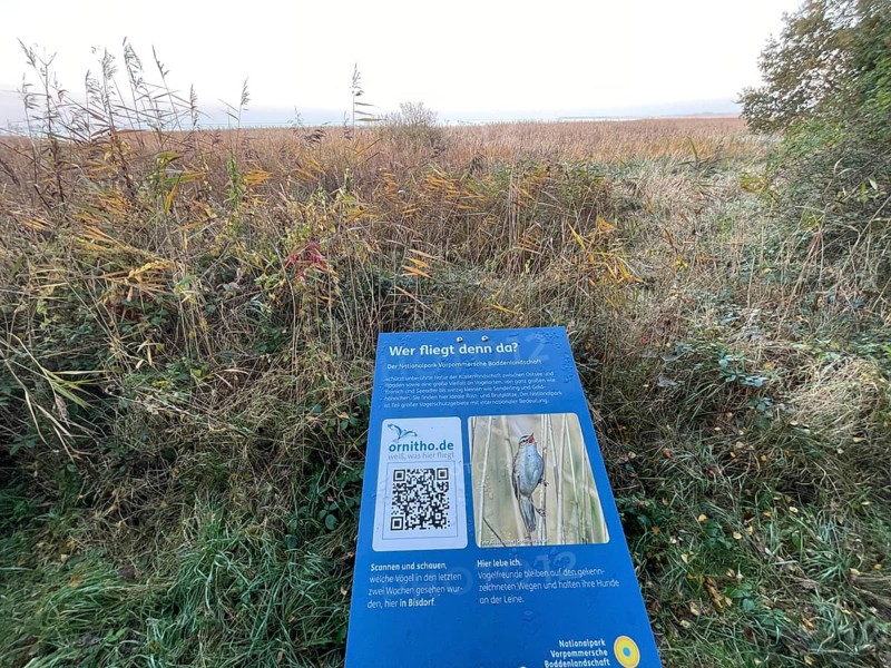 Information board in the national park near Bisdorf, Western Pomerania Lagoon Area National Park, Darss-Zingster Bodden Range, Baltic Sea, peninsula, nature, autumn, nature reserve, Fischland-Darß-Zingst, Mecklenburg-Western Pomerania, Germany