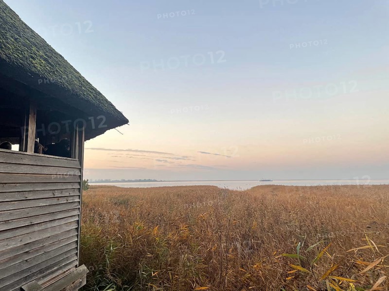 Perfect spot to watch cranes. Crane observation site near Bisdorf. Western Pomerania Lagoon Area National Park, Darss-Zingster Bodden Range, Baltic Sea, Peninsula, Nature, Autumn, Nature Reserve, Fischland-Darß-Zingst, Mecklenburg-Western Pomerania, Germany