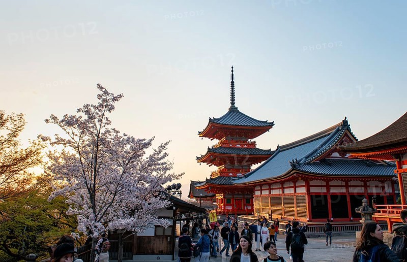 Sanjunoto Pagoda and Kyodo Hall in the evening light, blooming cherry tree, Kiyomizu-dera temple, atmospheric, Buddhist temple complex, Higashiyama, Kyoto