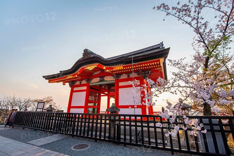 Red Nishimon Gate and blossoming cherry tree in the evening light, Kiyomizu-dera Temple, in the evening light, Buddhist temple complex, Higashiyama, Kyoto