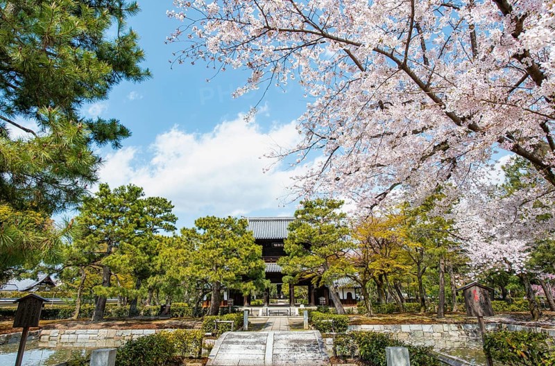 Sammon or Bogetsuro Gate with cherry blossoms, entrance to Kennin-ji Zen Buddhist Temple, Higashiyama, Kyoto, Japan