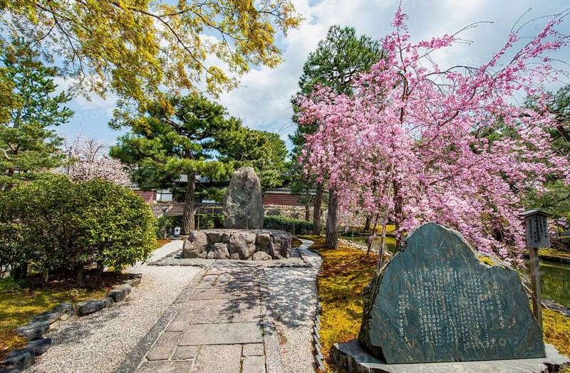 Tea Memorial and Blooming Cherry Tree, Kennin-ji Temple Complex, Buddhist Temple, Kyoto, Japan