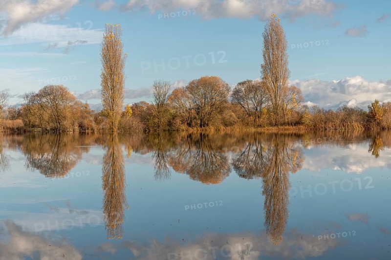 The river flows flat and reflects clouds and mountains under a clear sky. Autumn trees draw the shoreline. It is a quiet moment on the water's edge. Bas Rhin, Alsace, France