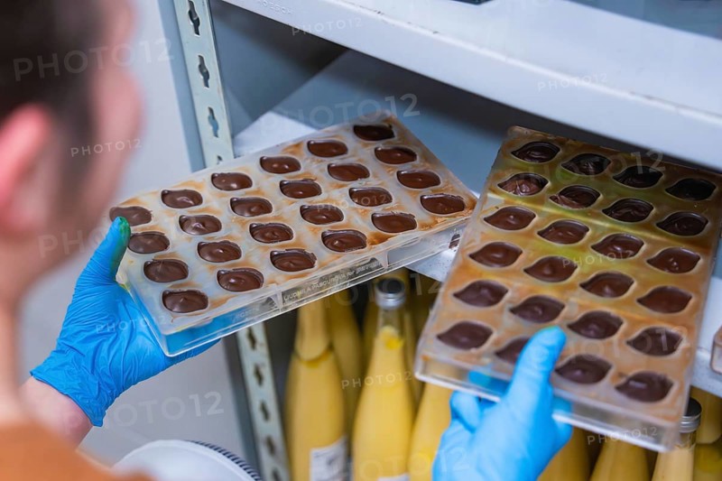 Person with blue gloves holding chocolate molds in front of a shelf with yellow bottles, Vegan Chocolates Production, Haselstaller Hof, Gechingen, Germany