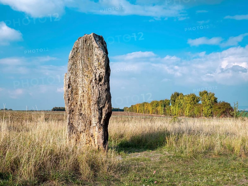 The menhir of Derenburg, height 2, 9m, Wernigerode, Harzvorland, Saxony-Anhalt, Germany
