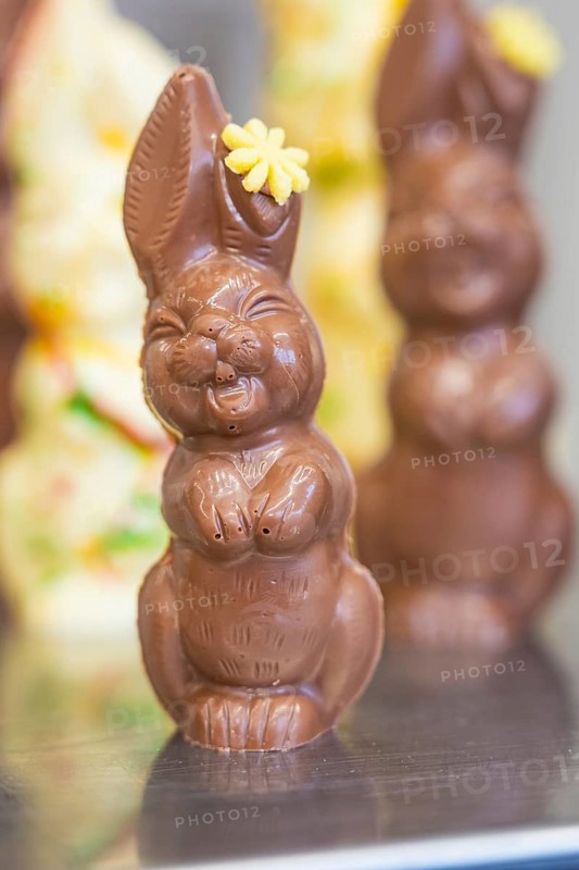 Chocolate bunny made from milk chocolate with a small yellow flower as decoration, Easter production of regional products, Haselstaller Hof, Gechingen, Calw district, Germany